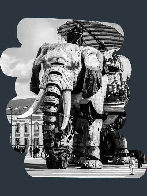 écoconception web et création de sites internet à Nantes : l'éléphant de Nantes