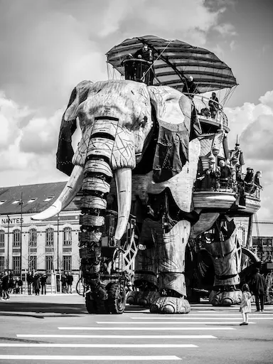 l'éléphant de Nantes, écoconception web et création de sites internet à Nantes