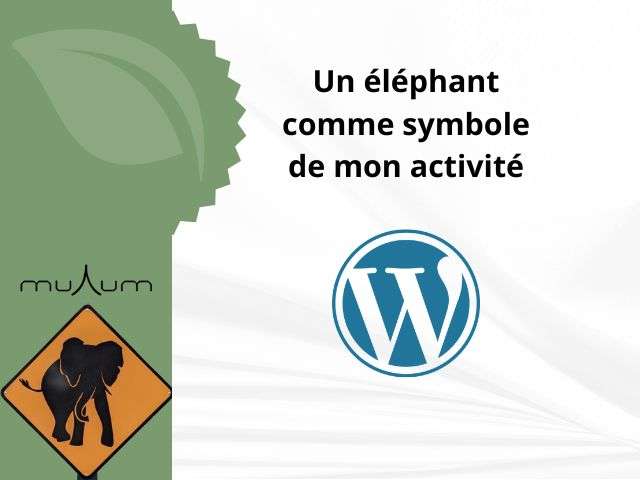 L'éléphant comme symbole de mon engagement dans l'éco-conception web. 8 éléphant et éco-conception web - webmaster éco-responsable à Nantes, création de sites internet WordPress éco-conçus, maintenance WordPress, formation WordPress